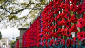 Minister to overturn decision to scrap free remembrance services train travel