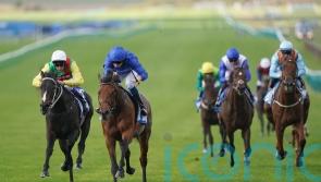 Flying Honours lands Zetland with gritty display