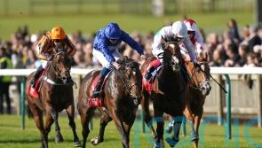 Silver Knott maintains Godolphin’s grip on Autumn Stakes