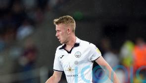 Swansea march on with win over Sunderland