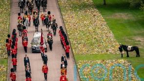New picture of Queen’s Fell Pony Emma released