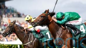 Alpha Capture pips stablemate to win Rockingham