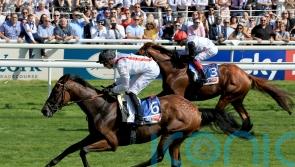 Newbury target for Cumberland Lodge winner Hamish