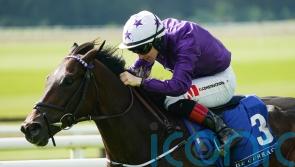 Crypto Force could be one to hit Group One mark for Amo Racing