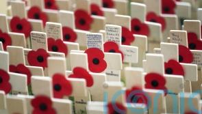 Minister confirms free train travel for veterans to attend remembrance services