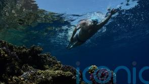 Endurance swimmer Lewis Pugh in Red Sea swim to highlight climate coral crisis