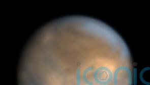 Sharpest Earth-based images of Europa and Ganymede reveal their icy landscape