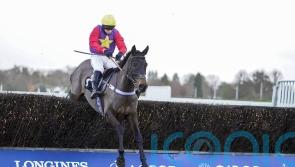 Chase and hurdles options open for Dashel Drasher