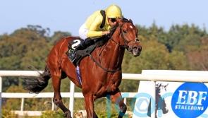 Jadoomi added to QEII field