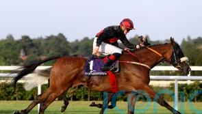 Cheltenham Run on Peregrine’s radar