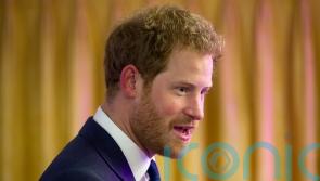 Harry tells of busy Archie, Lili learning to talk and his emotional support dogs