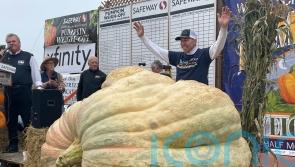 Giant pumpkin wins California contest and sets US record