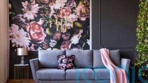 Sofa seller ScS says shoppers are putting off big-ticket buys as inflation bites