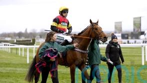 Knight Salute on course for Cheltenham return on Saturday week