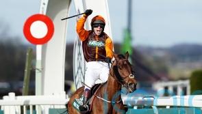 James Reveley to ride National hero Noble Yeats this weekend