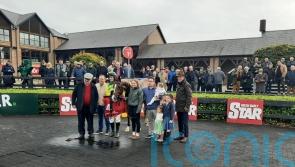 Adamantly Chosen impresses at Punchestown to set up Drinmore bid