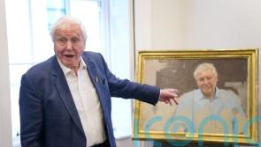 New portrait of Sir David Attenborough donated to wildlife conservation charity