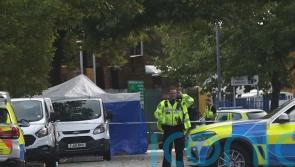 Man was shot dead by police after less-lethal methods failed, says watchdog