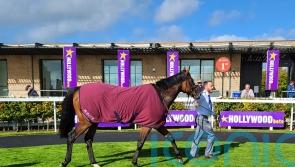 Paddington looks smart prospect in Curragh victory