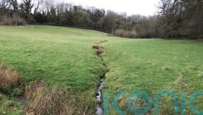 Major project under way to reconnect Exmoor river to its original floodplain