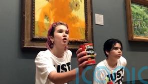 Two protesters arrested after throwing soup on Van Gogh’s Sunflowers