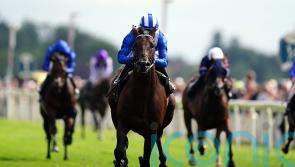 Final countdown for Baaeed, with brilliant colt all set to sign off in style