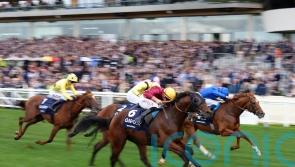 Bayside Boy springs Queen Elizabeth II Stakes surprise