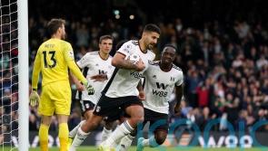 Aleksandar Mitrovic nets second-half equaliser as Fulham earn Bournemouth draw