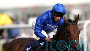 Breeders’ Cup consideration for Adayar after fine Ascot effort