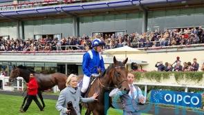 Beaten, but Baaeed still a champion – and still brilliant