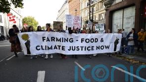 Farm workers and environmental activists march through central London