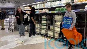 Animal Rebellion protesters pour milk in shops across UK &ndash; including Harrods