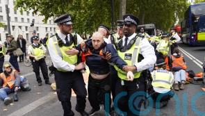 Public clash with Just Stop Oil protesters blocking east London road