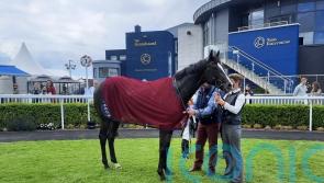 O’Brien has Derby favourite Auguste Rodin pencilled in for Doncaster