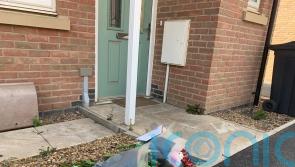 Accused denies manslaughter of woman hit by car