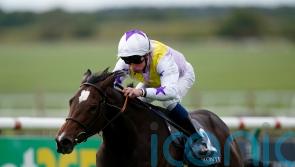 Lezoo team have high hopes for next year with classy filly