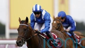 Baaeed’s younger sibling to be out this year