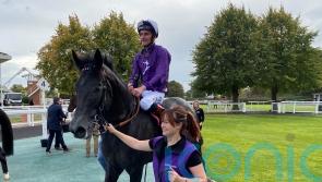 Exciting King Of Steel remains in Vertem Futurity picture