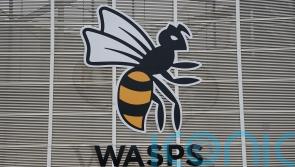 Wasps placed into administration as holding company ceases trading