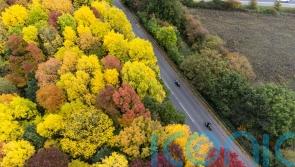 ‘Trampling’ on nature will not lead to healthy economy, Government adviser warns