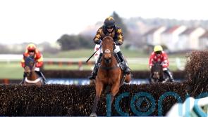 Do Your Job primed for Old Roan return