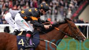 David Evans has Hong Kong aspirations for Rohaan