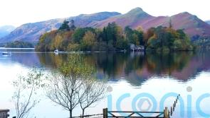 Government ‘limping backwards on protecting 30% of England for nature’