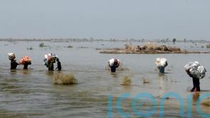 World Bank ‘estimates Pakistan floods caused 40 billion dollars of damage’