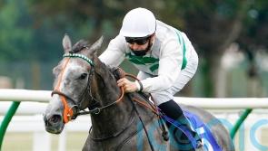 Rausing ‘pondering’ pros and cons of potential Japan Cup bid for Alpinista