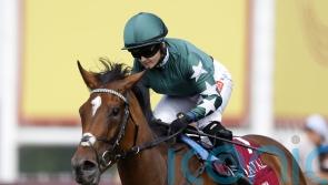 Nashwa bound for Breeders&rsquo; Cup date at Keeneland