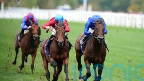 Appleby sets out 10-furlong ambition for Adayar next year