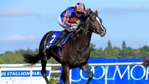 Auguste Rodin tops Futurity Trophy field for O’Brien