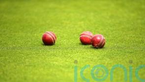ECB urged to conduct in-depth review of historic abuse within cricket