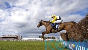 Win My Wings has Wetherby outing in her sights